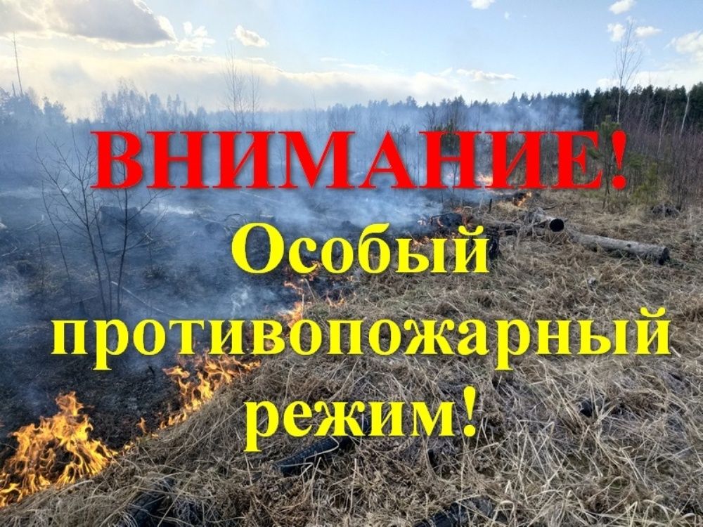 Особый противопожарный режим введен в 8 районах Томской области.