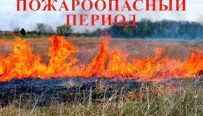 Пожароопасный сезон. Пожароопасный сезон.