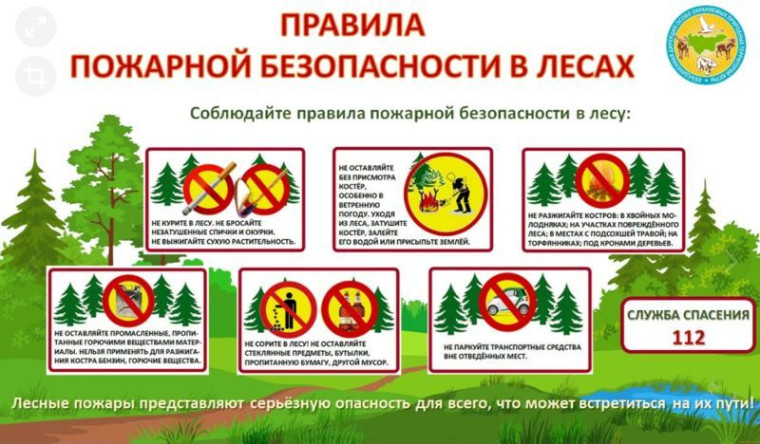 Опасность лесных пожаров!. Опасность лесных пожаров!.